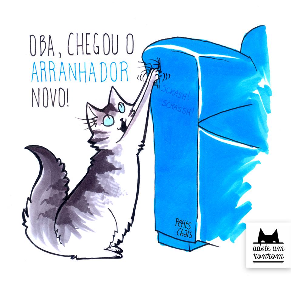 Miau! Se você ama gatos, precisa seguir estes 10 perfis no Instagram