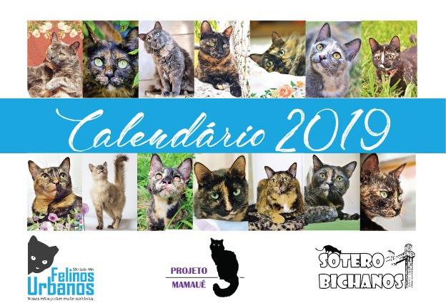 Capa do calendário do projeto Felinos Urbanos